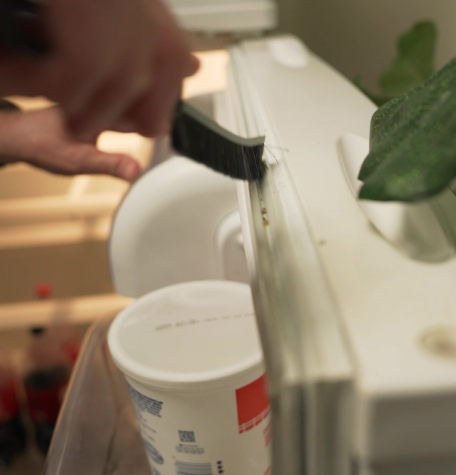 Review by Jasmine D.